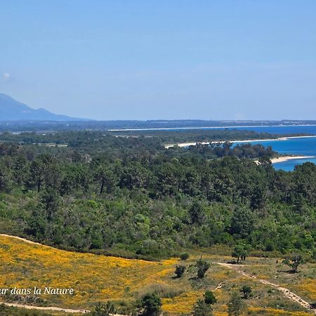 Gite L'Appart De Case Vanille Sari-Solenzara Exteriér fotografie