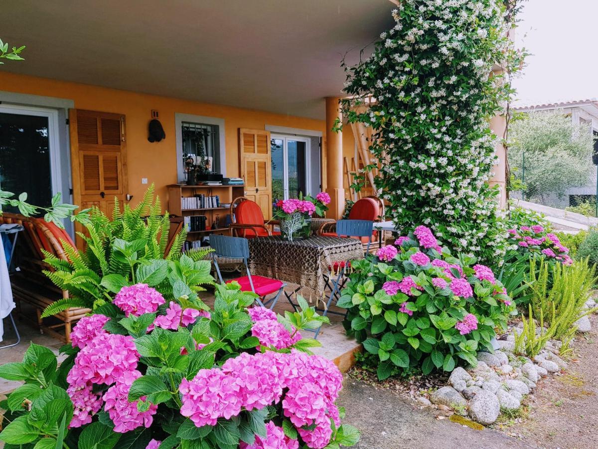 Gite L'Appart De Case Vanille Sari-Solenzara Exteriér fotografie