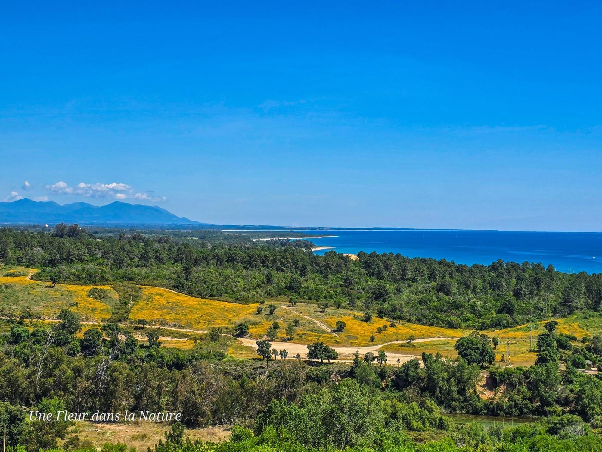 Gite L'Appart De Case Vanille Sari-Solenzara Exteriér fotografie