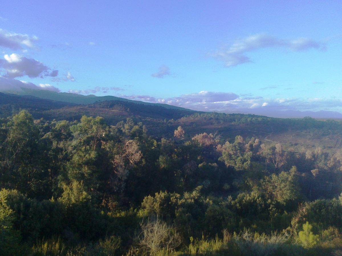 Gite L'Appart De Case Vanille Sari-Solenzara Exteriér fotografie